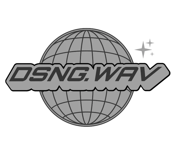 DSNG.WAV